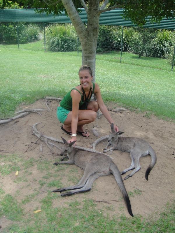 Photo The Steve Irwin Australia Zoo in Beerwah, Queensland elephants