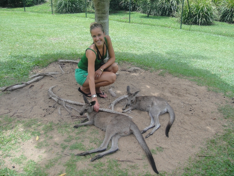 Photo The Steve Irwin Australia Zoo in Beerwah, Queensland structure