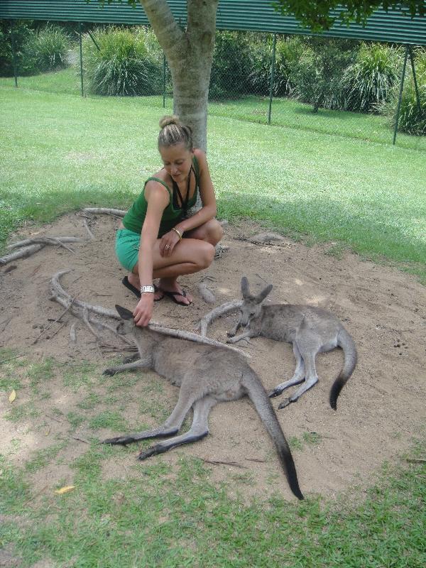 Photo The Steve Irwin Australia Zoo in Beerwah, Queensland expect