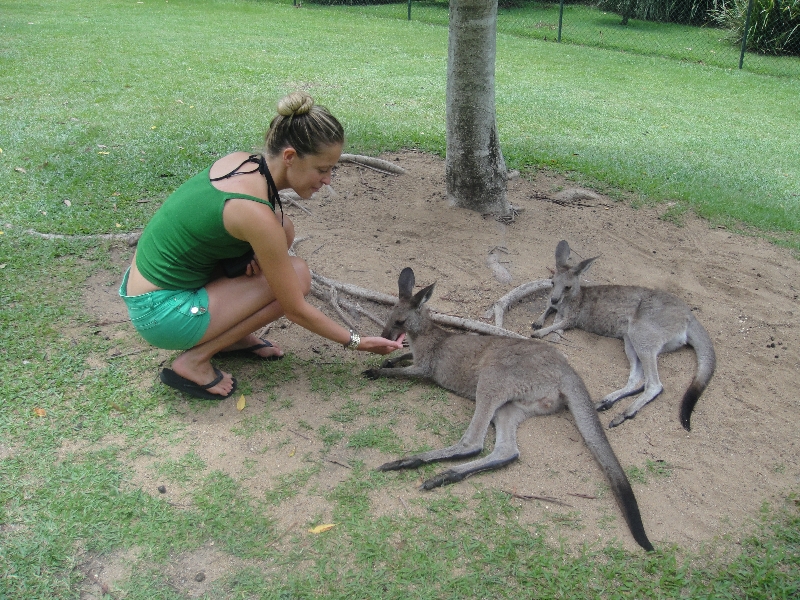 Photo The Steve Irwin Australia Zoo in Beerwah, Queensland feeding