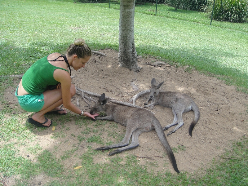 Photo The Steve Irwin Australia Zoo in Beerwah, Queensland bathing
