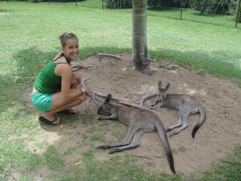Photo The Steve Irwin Australia Zoo in Beerwah, Queensland elephant