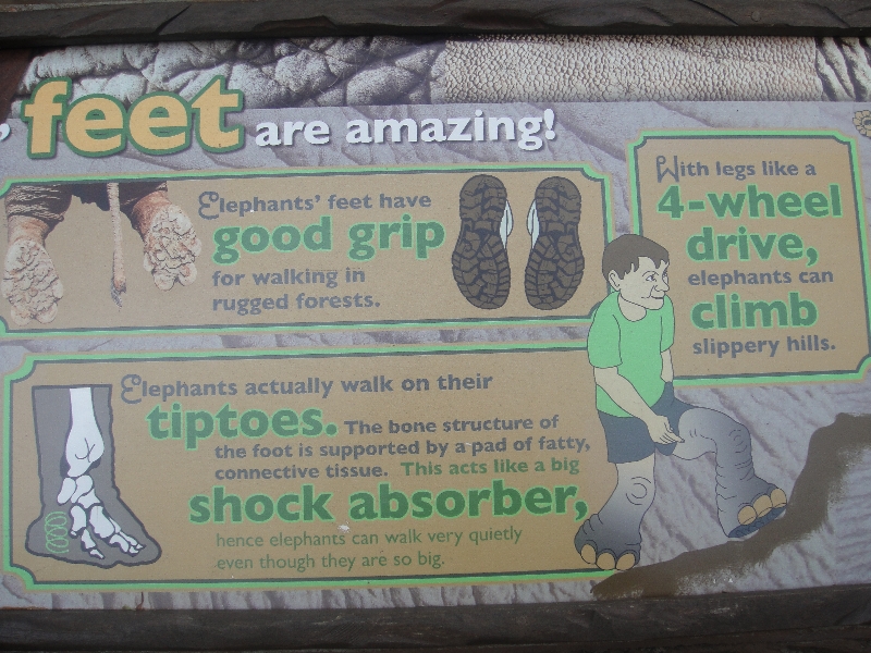 Photo The Steve Irwin Australia Zoo in Beerwah, Queensland making