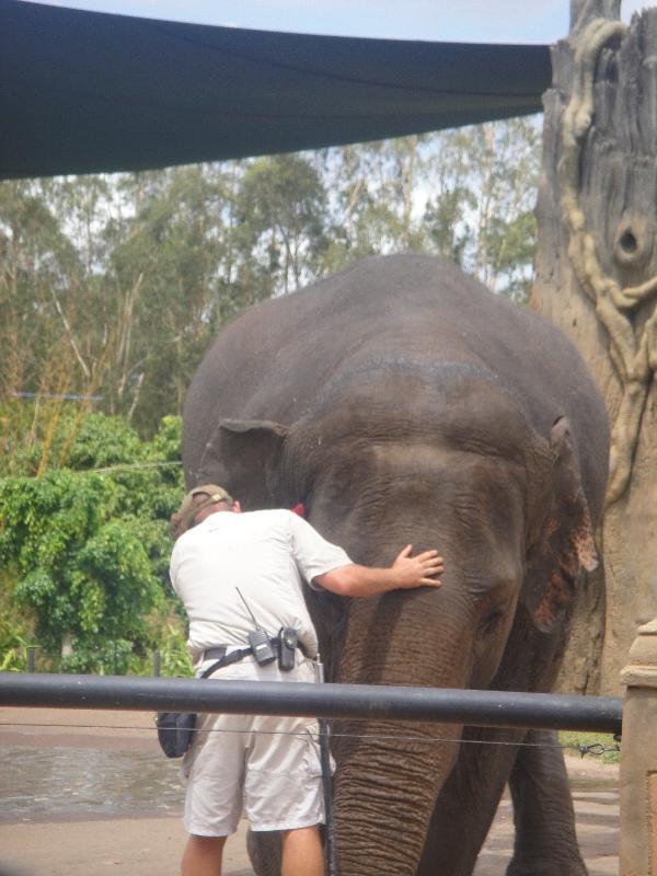 The Steve Irwin Australia Zoo in Beerwah, Queensland Blog Photo