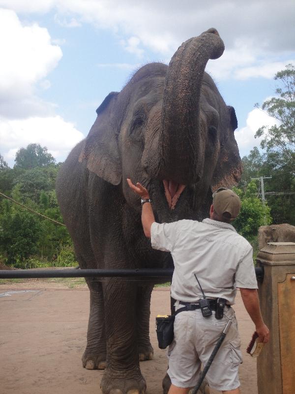 The Steve Irwin Australia Zoo in Beerwah, Queensland Picture Sharing