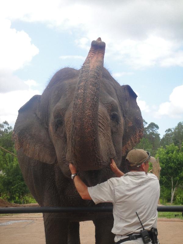 Photo The Steve Irwin Australia Zoo in Beerwah, Queensland safari