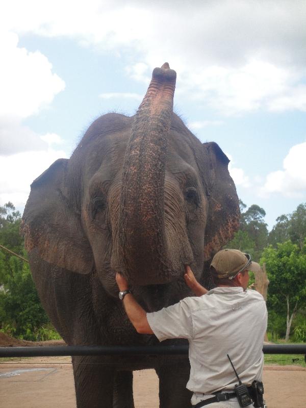 The Steve Irwin Australia Zoo in Beerwah, Queensland Review Picture