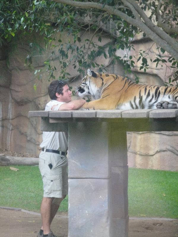 Photo The Steve Irwin Australia Zoo in Beerwah, Queensland ranger