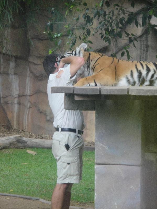 Photo The Steve Irwin Australia Zoo in Beerwah, Queensland ideals