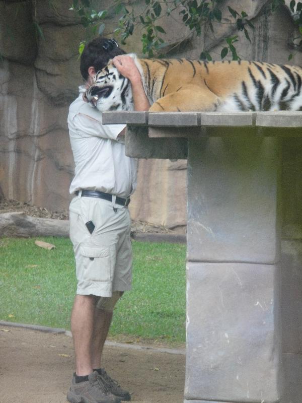 The Steve Irwin Australia Zoo in Beerwah, Queensland Holiday Pictures