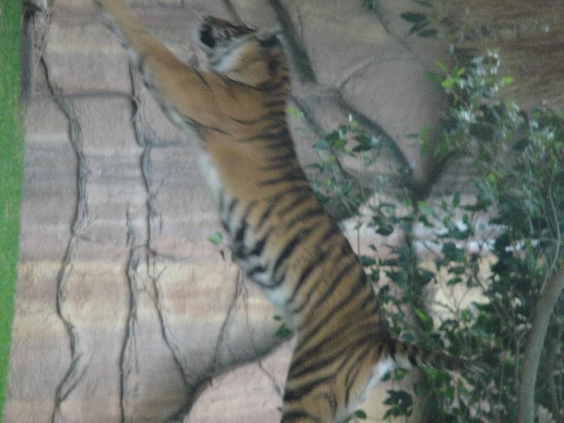 The Steve Irwin Australia Zoo in Beerwah, Queensland Album Photographs