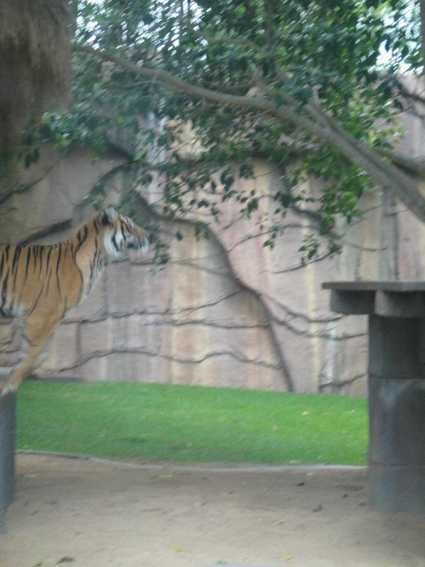 The Steve Irwin Australia Zoo in Beerwah, Queensland Diary Sharing