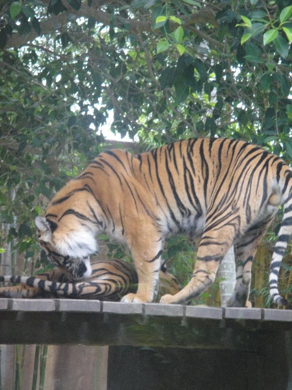 The Steve Irwin Australia Zoo in Beerwah, Queensland Vacation Photo