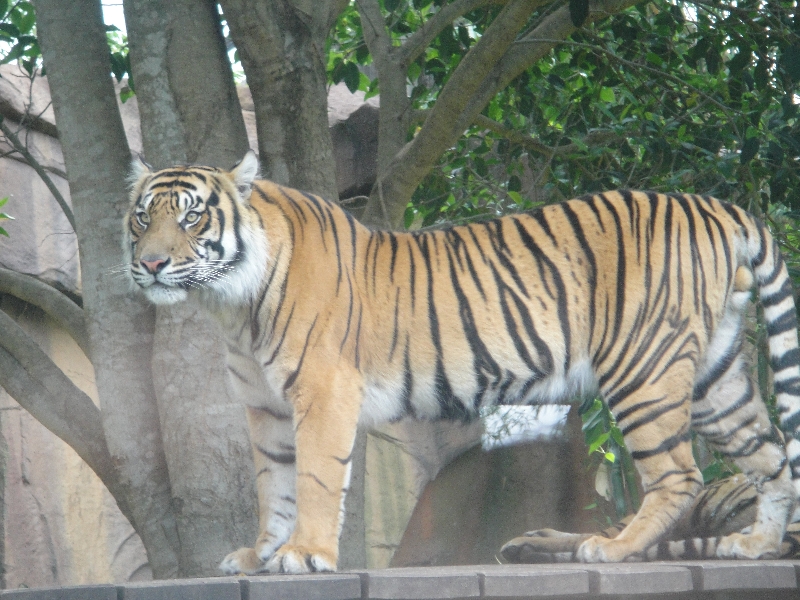 The Steve Irwin Australia Zoo in Beerwah, Queensland Travel Photo