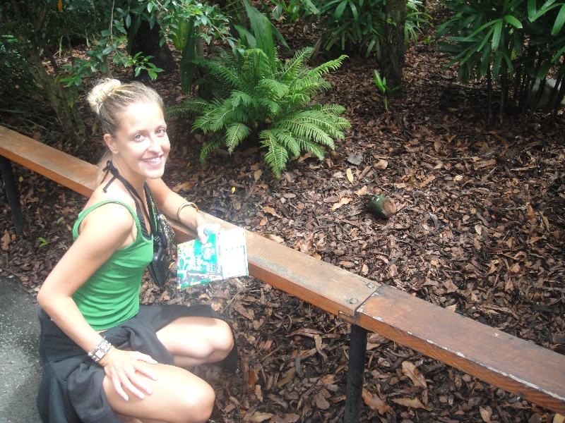 Photo The Steve Irwin Australia Zoo in Beerwah, Queensland different