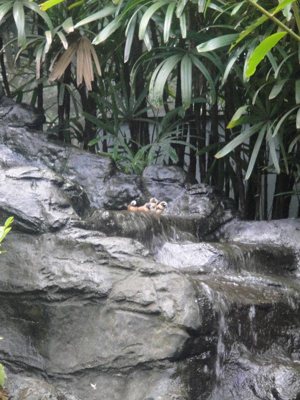 Photo The Steve Irwin Australia Zoo in Beerwah, Queensland personal