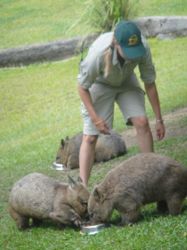 The Steve Irwin Australia Zoo in Beerwah, Queensland Photos