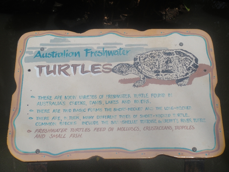 Photo The Steve Irwin Australia Zoo in Beerwah, Queensland animals