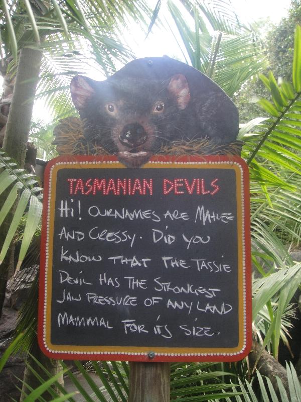 Photo The Steve Irwin Australia Zoo in Beerwah, Queensland things