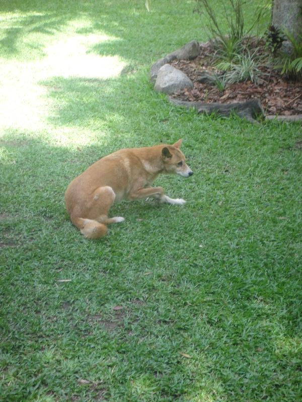 The Steve Irwin Australia Zoo in Beerwah, Queensland Holiday Adventure