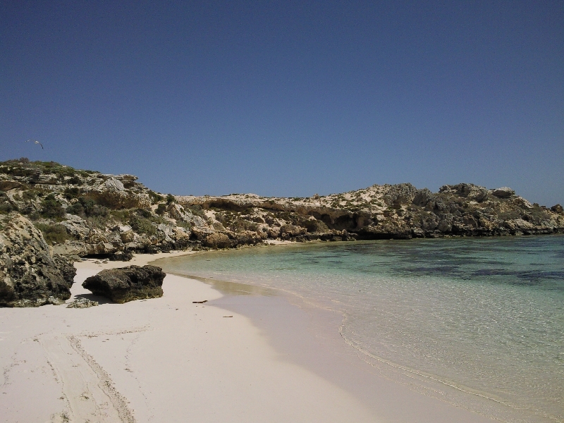 Perfect Rottnest Island pictures, Australia