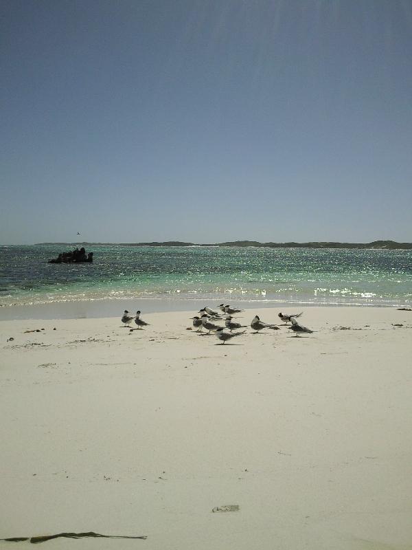 Beautiful ocean panorama on Rottnest, Rottnest Island Australia