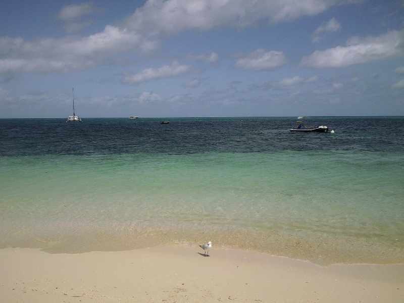 Beautiful beach at Green Island, Cairns Australia