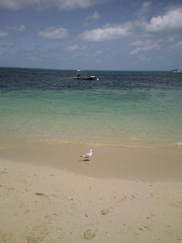 Day trip to Green Island from Cairns, Cairns Australia