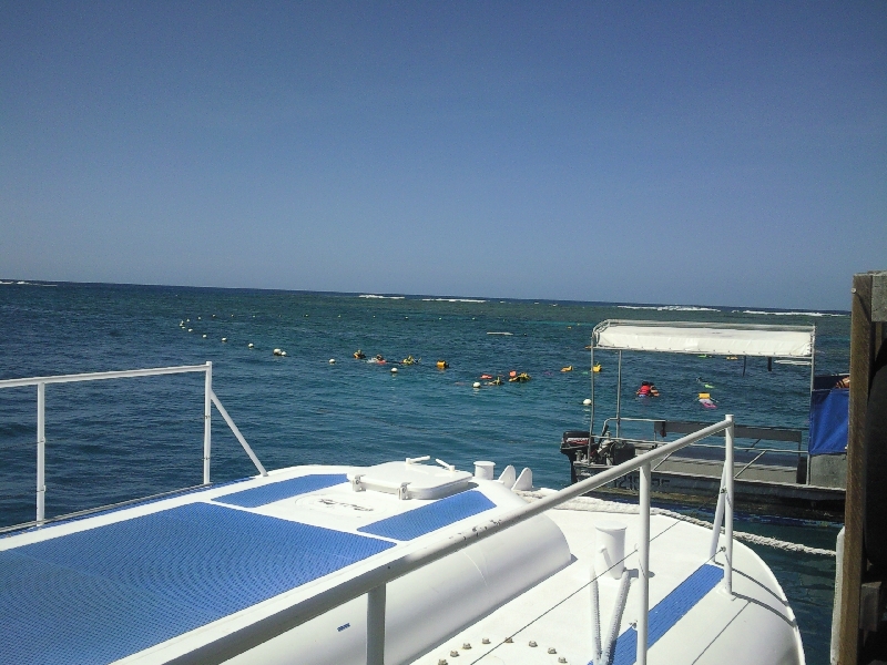 Glass Bottom Boat at the Reef, Cairns Australia