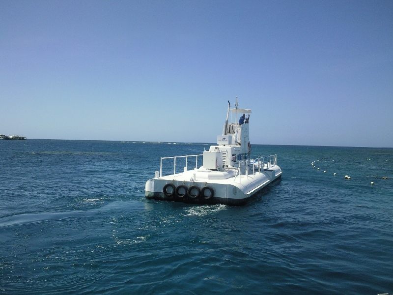 Great Barrier Reef coral viewing, Cairns Australia