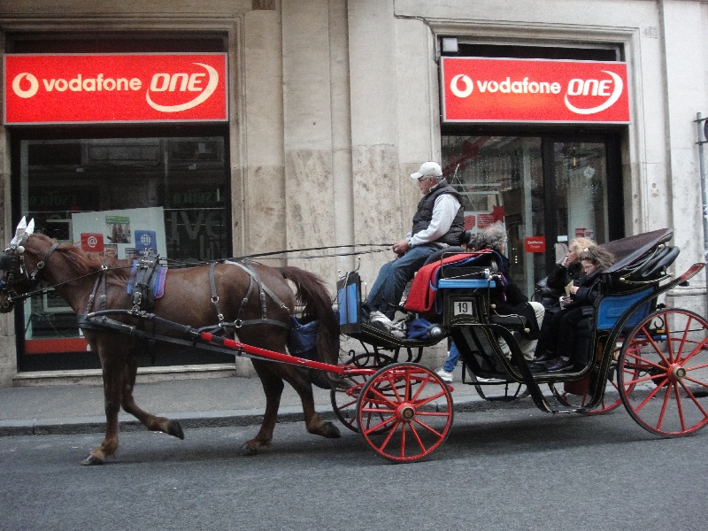 Horse and carriage in Rome, Italy