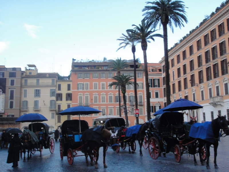 Horses on Piazza di Spagna, Italy