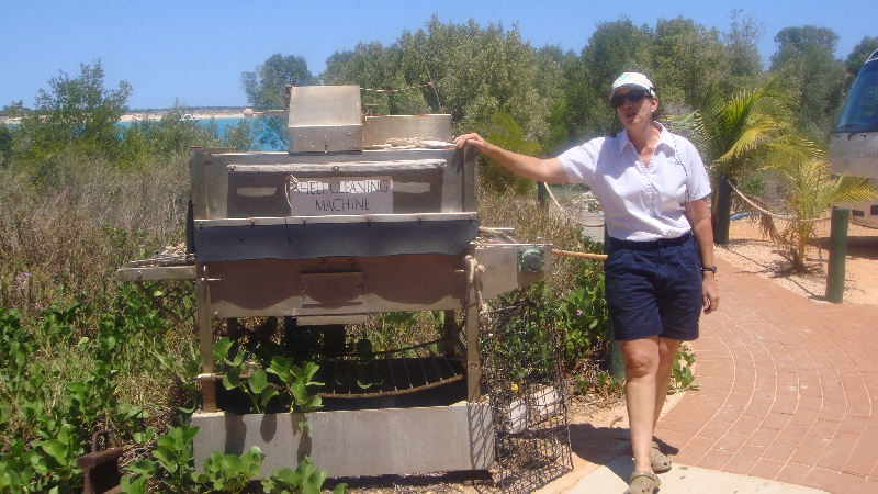 Pearl Shell Cleaning at Willie Creek, Australia