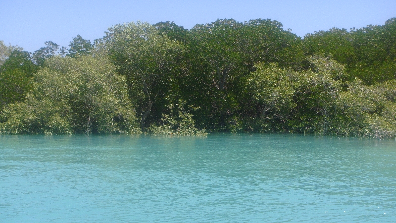 Willie Creek Pearl Farm in Broome, Australia