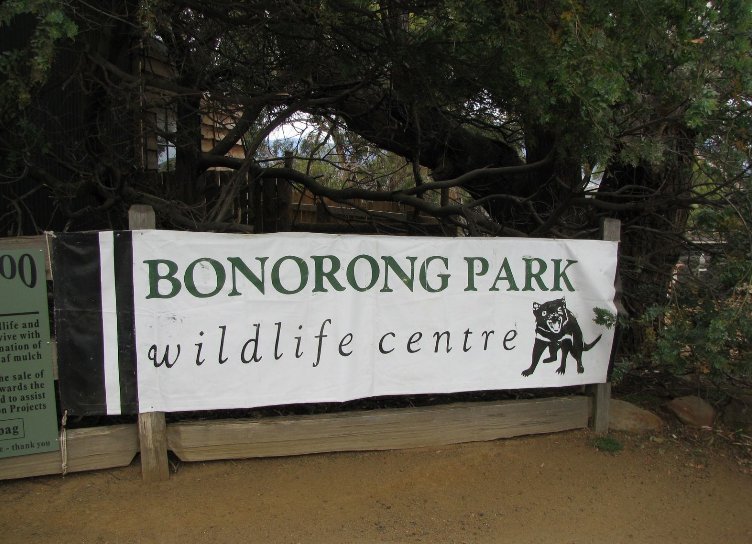 Brighton Australia Bonorong Wildlife Conservation Park