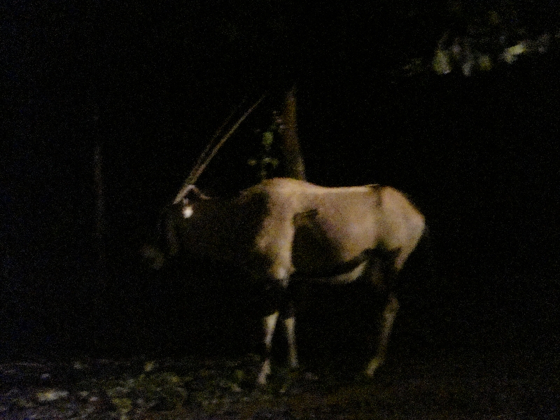The Chiang Mai Zoo in Thailans, Thailand