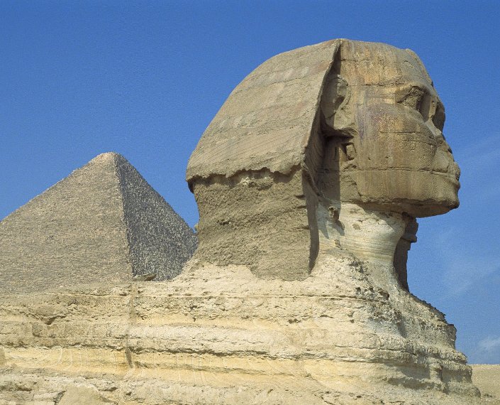 The Human head of the Sphinx in Giza, Cairo Egypt