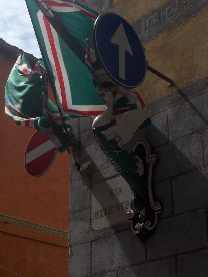 Celebrating the Palion in Siena, Siena Italy