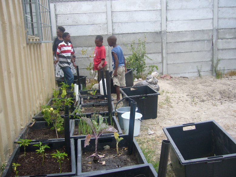 Gardening lessons in Nyanga, Cape Town, South Africa