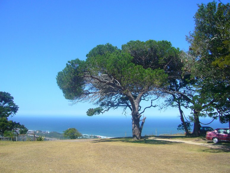 The Beaches along the Garden Route, Cape Town South Africa