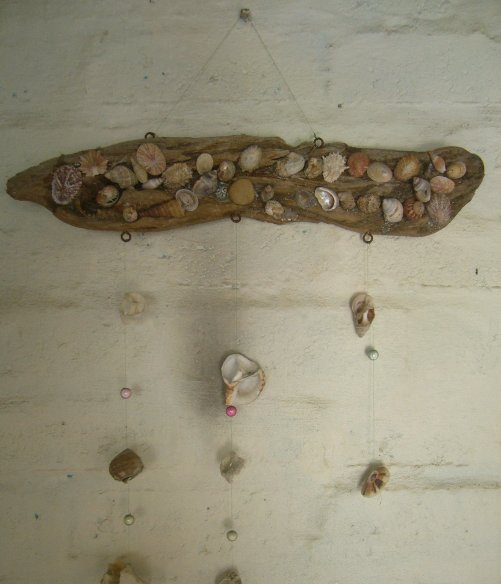 Shells on the wall, Cape Town South Africa
