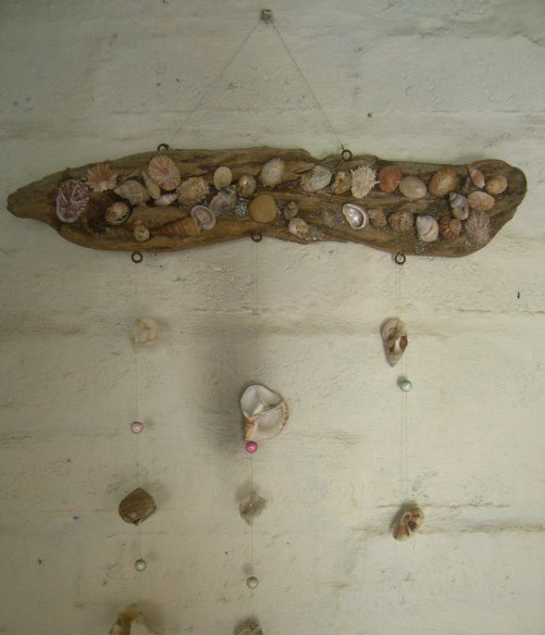 Shells on the wall, South Africa