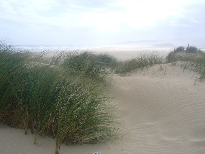 Pictures of the dunes in Buffalo Knysna South Africa Africa