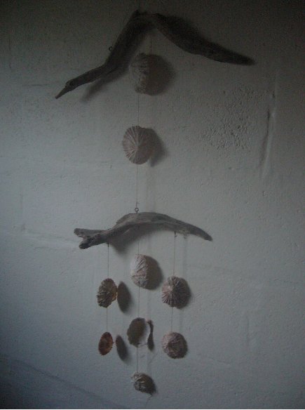 Artistic shell creations, South Africa