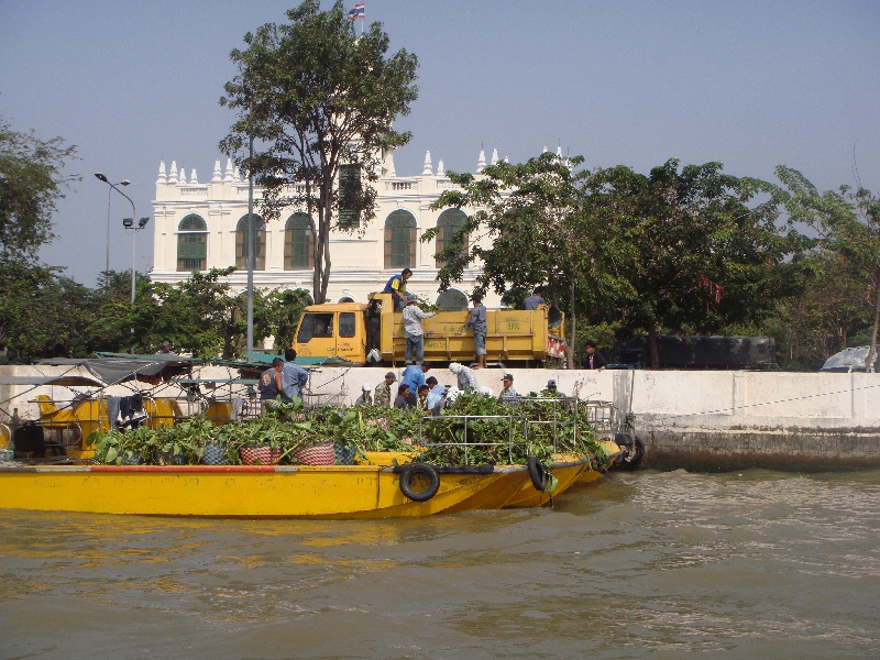 Bangkok Thailand Cleaning up the Mae Nam Chao Phraya