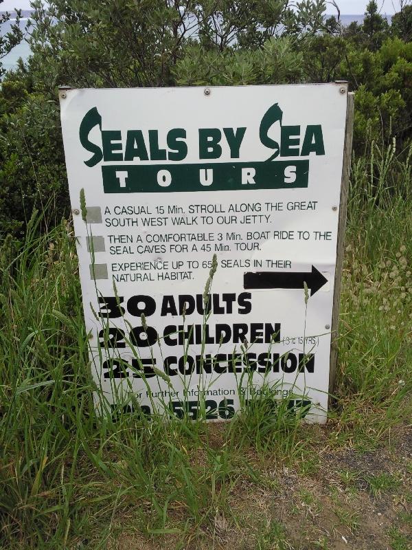 Seal spotting Tours in Australia, Australia