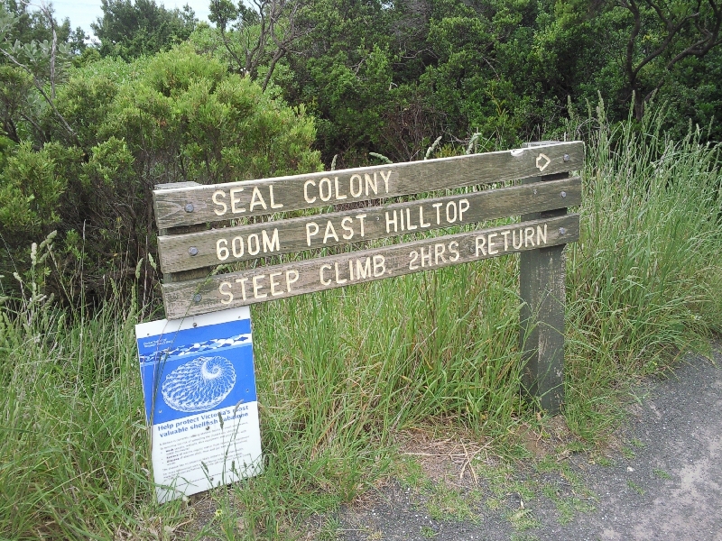 Cape Discovery National Park, Cape Bridgewater Australia