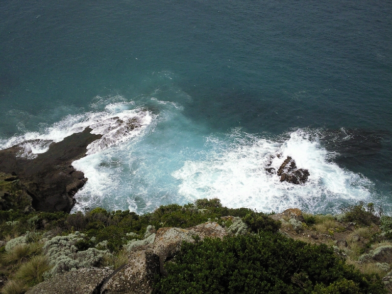 Seals paradise in Bridgewater, Cape Bridgewater Australia