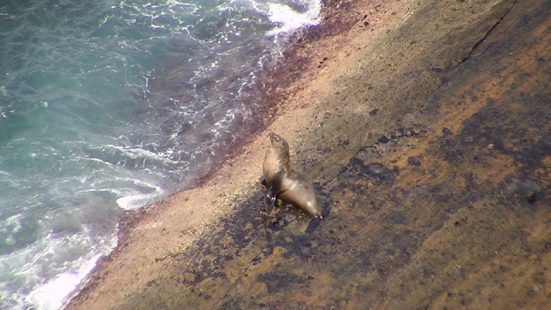 Coastal Cliffs at Cape Bridgewater, Cape Bridgewater Australia