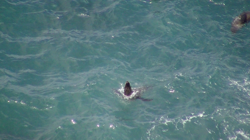 Cape Bridgewater Australia Seal Lookout in Bridgewater